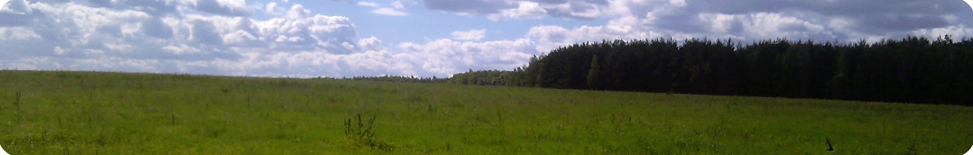 ban2.gif